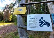 Aprimus keturratininkams, rajono miškuose padažnėjo savavališkų kirtimų