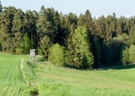 Priminimas medžiotojams: nuo rugpjūčio 15-osios leidžiama medžioti kai kuriuos laukinius gyvūnus