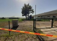 Kiaulių maras plinta toliau – liga įsisuko ir į komercinį kiaulių ūkį