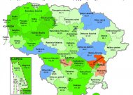VRK analizė: Karšuvos rinkimų apygarda – tarp mažėjančių