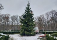Jurbarką džiugins kaimynų dovanota žaliaskarė