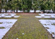 Paminklas sovietų kariams demontuotas ir Viešvilėje
