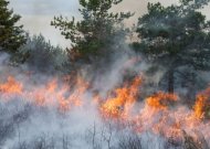 Degė namai, balkonai ir miškai, ugniagesiams teko gelbėti skendusius vyrus (gaisras kilo ir Jurbarko rajone)