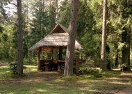 Įsigaliojo laikinas draudimas lankytis Jurbarko rajono miškuose