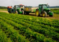 Europos Komisija pritarė pirmajam Lietuvos žemės ūkio ir kaimo plėtros strateginio plano pakeitimui