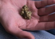 Marihuana