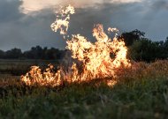 Ugniagesiai įspėja: laužų ir žolės deginimas gali užtraukti baudą