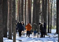 Kovo 15 d. miškininkai kviečia į sugrįžtančių paukščių sutiktuves