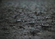 Savaitgalį orai subjurs: sinoptikas perspėja apie lietų ir stiprų vėją