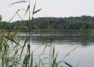 Šiluma menkai tenuslūgs: savaitės viduryje kai kur įkais iki 28 laipsnių