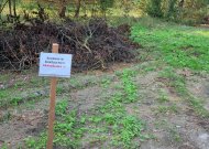 Informacija gyventojams dėl žaliųjų atliekų tvarkymo