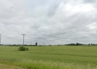 Nustatyti pažeidimai netoli miesto tręšiant laukus srutomis