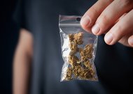 Apžiūros metu bandė atsikratyti kanapių
