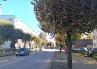Kviečia susipažinti su pasiūlymais kaip miestą padaryti žalesnį