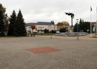 Žalesniam miestui prireiks beveik 2 milijonų