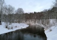 Orai: sulauksime kritulių kokteilio – pasirodys sniegas, pereinantis į šlapdribą, lietų