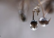Iš sinoptiko – įspėjimas apie pavojingus orus