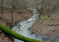 Šiluma apsistos kiek ilgiau, žiemiškų kritulių nesulauksime