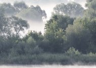 Į Lietuvą sugrįžta tikras rugsėjo oras