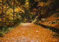 Savaitę išlydėsime su neigiama temperatūra naktį, sulauksime ir plikledžio