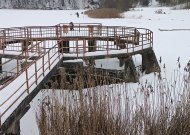 Orai: naktį dar kandžios nemenkas šaltis, bet netrukus – rimtas atšilimas
