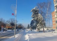 Sinoptikė: iki savaitgalio laikysis žiemiški orai
