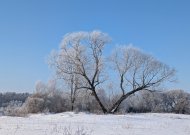 Orai: žymesnio sniego nenumatoma, temperatūra sieks 0–5 laipsnius šalčio
