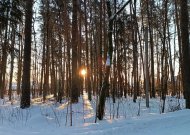 Orai: sulauksime nedidelių kritulių, temperatūra sieks 0–3 laipsnius šilumos