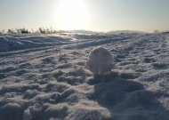 Įsivyrauja pavasaris: vyraus 2–7 laipsnių šiluma, savaitgalis numatomas dar šiltesnis