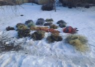 Policijos pareigūnai ir aplinkosaugininkai surengė reidą