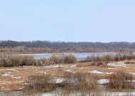 Orai: vietomis sušils iki 17 laipsnių, tačiau dalyje Lietuvos numatomas nedidelis lietus