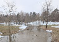 Savaitgalio orai: pavasariška temperatūra šoktels iki 18 laipsnių šilumos