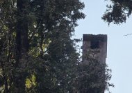 Orai: daugelyje rajonų šils iki 14 laipsnių šilumos, pokyčių sulauksime savaitės pabaigoje