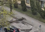 Sekmadienį rajono ugniagesiams darbo pridarė stiprus vėjas