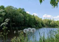 Sinoptikų žinia savaitgaliui: šiluma grįžta, tačiau kai kur palis