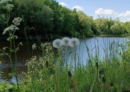 Lietuvoje įsitvirtino vasariški orai: temperatūra kils iki 27 laipsnių