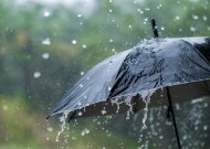 Artimiausiomis dienomis pliaups lietus, tačiau savaitgalis atneš pokyčių