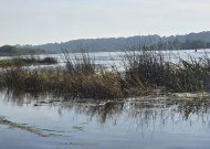 Savaitės pradžios orai: debesuota, stiprės vėjas, bet temperatūra dar neskubės žemėti