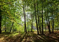 Orai: vietomis sulauksime lietaus, šils iki 15 laipsnių