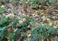 Orai: savaitės vidurys – darganotas, vėliau laukia malonūs pokyčiai